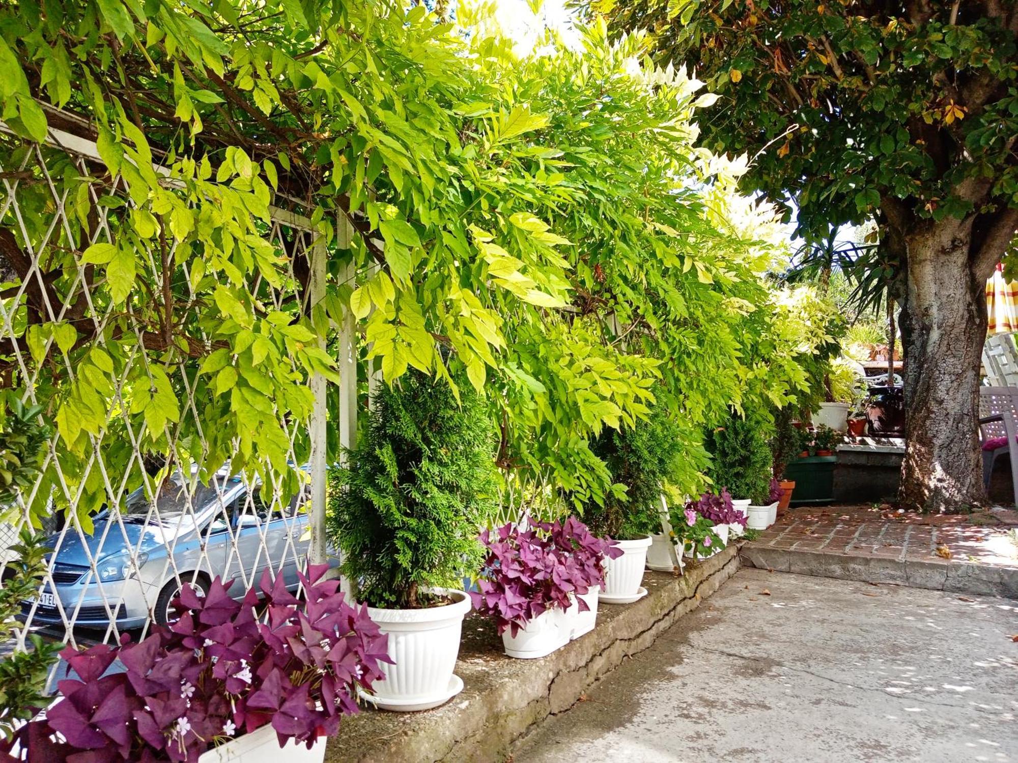 Belgrade Apartment Happy Garden Exterior photo