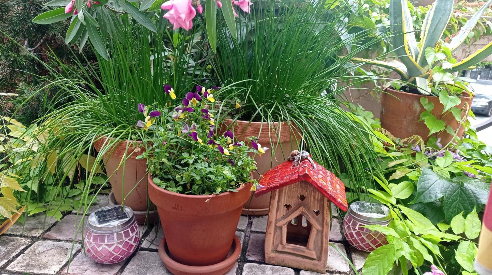 Belgrade Apartment Happy Garden Exterior photo