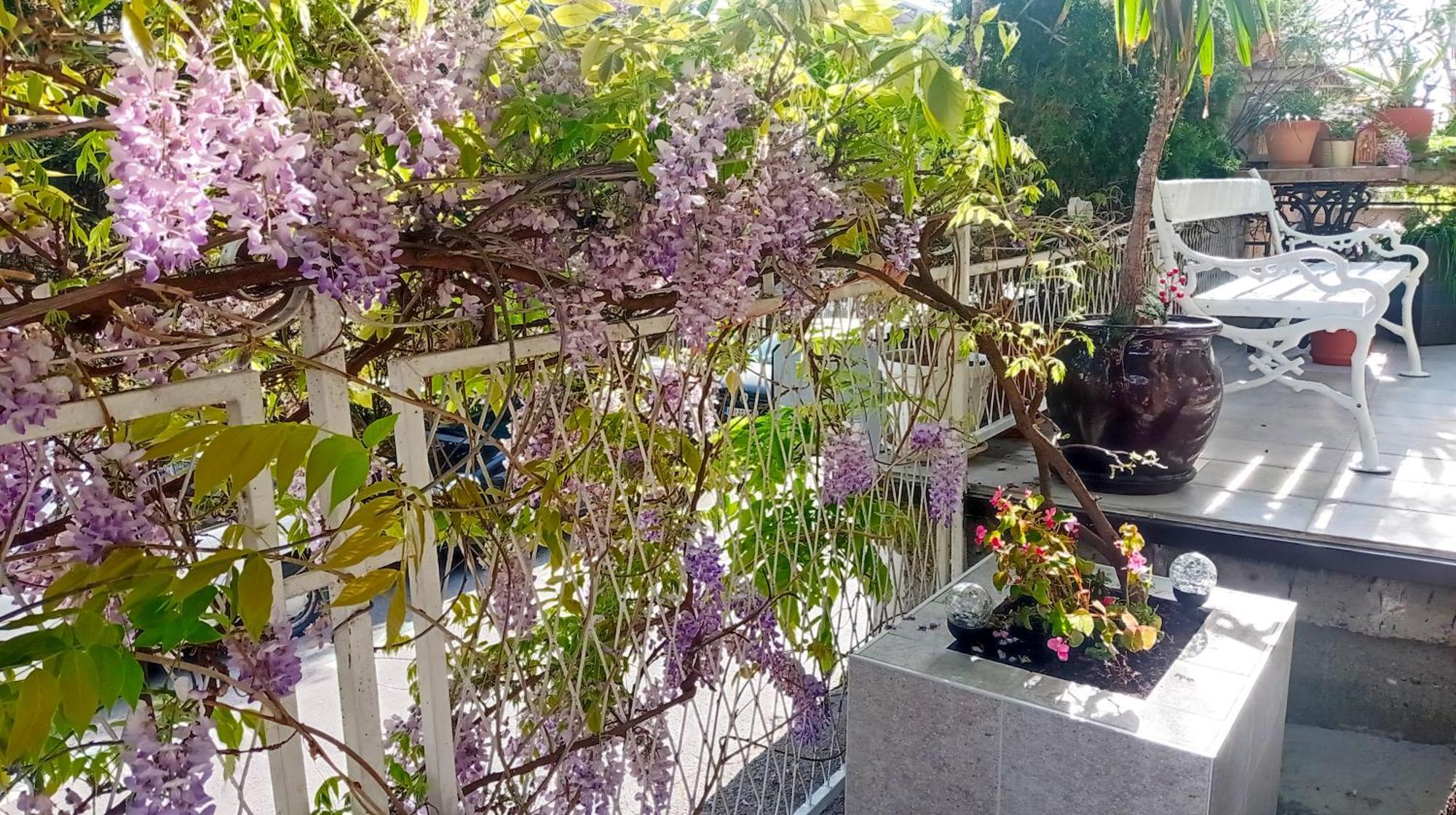 Belgrade Apartment Happy Garden Exterior photo