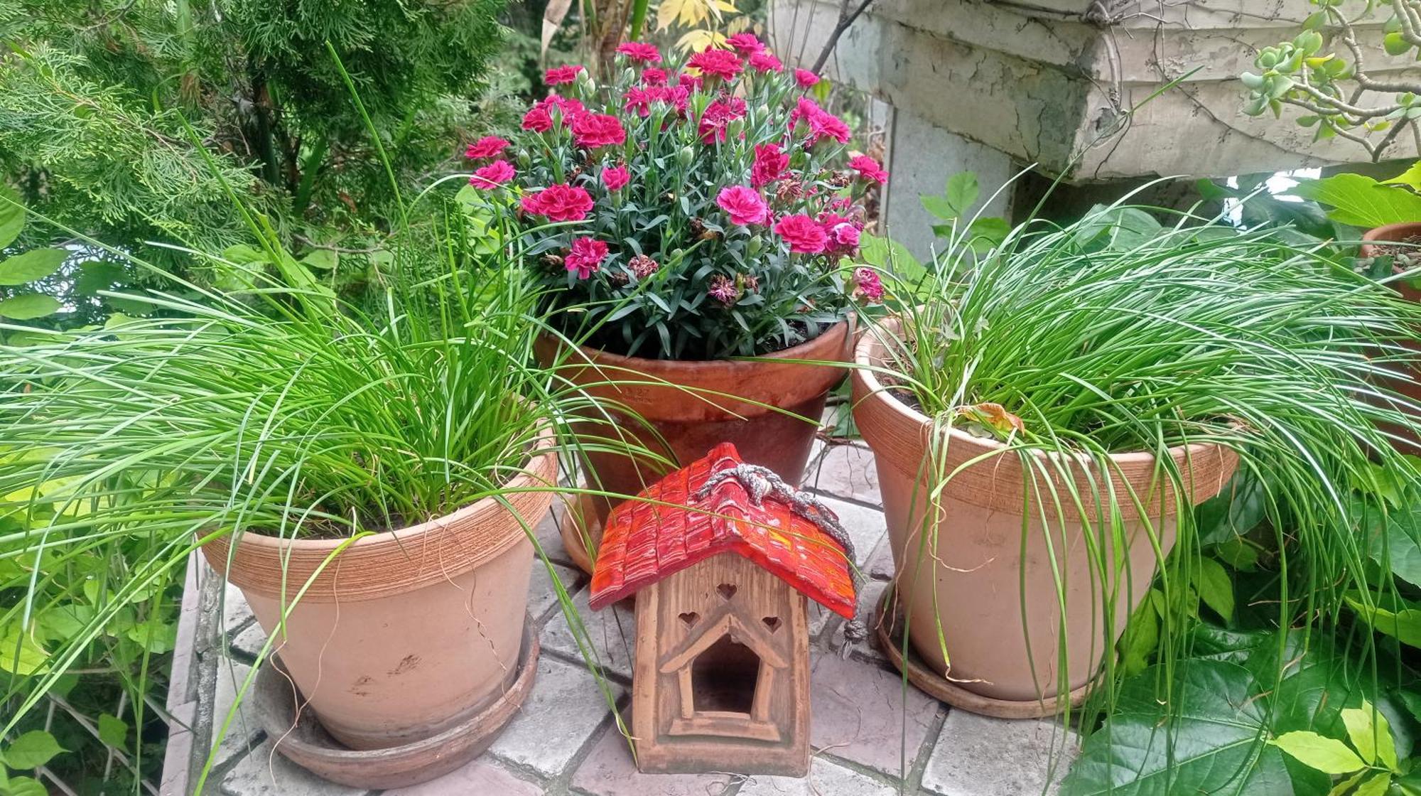 Belgrade Apartment Happy Garden Exterior photo